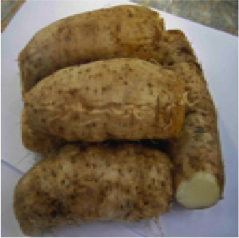 Frozen Lesser Yam