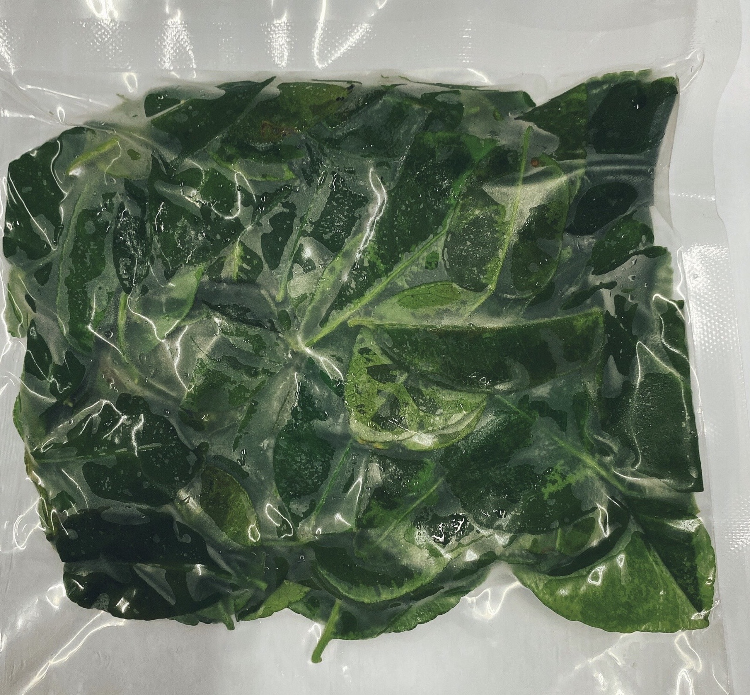 Frozen Betel Leaves