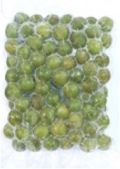 Frozen indochina dragonplum